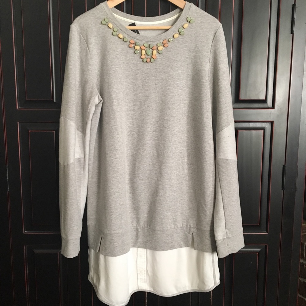 Anthropologie Sweatshirt Dress